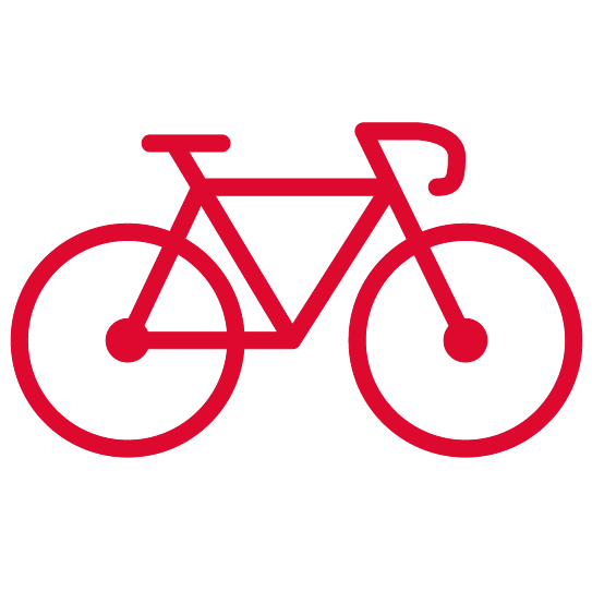 gross icons jobrad rot